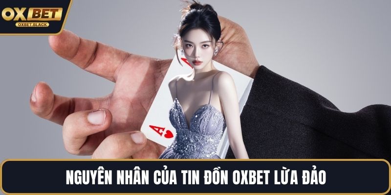 Nguyên nhân của tin đồn OXBET lừa đảo